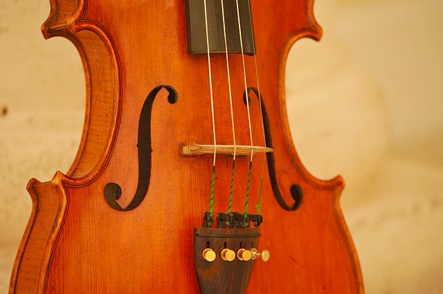 ヴァイオリン】色で判別！ 弦の図鑑（2017.11.14現在） | COSMUSICA ...