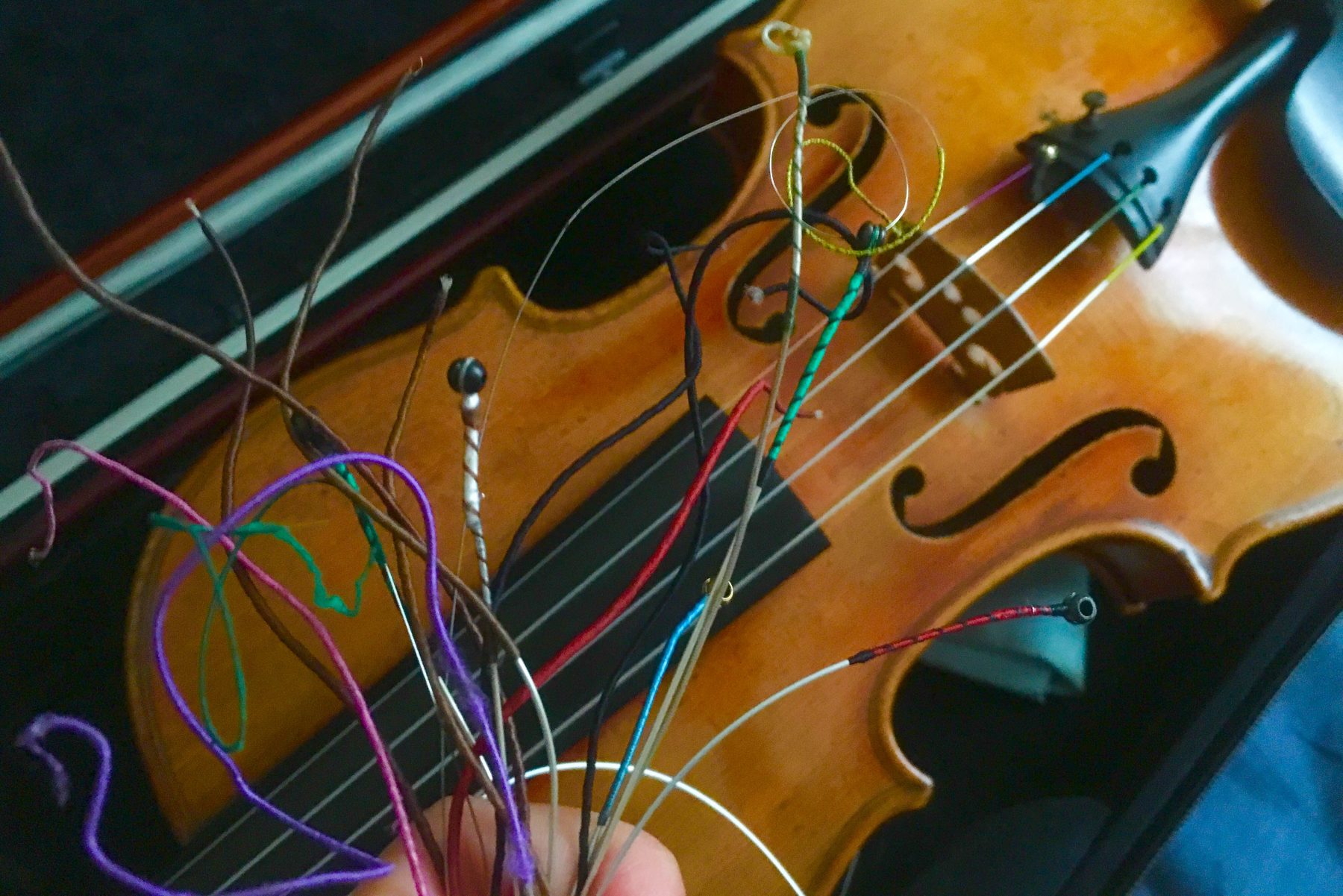 ヴァイオリン】色で判別！ 弦の図鑑（2017.11.14現在） | COSMUSICA